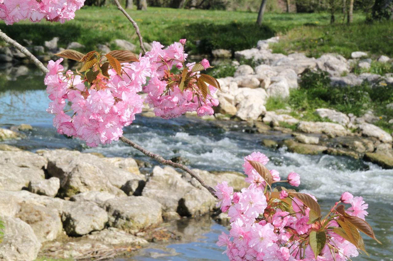 Chançay Moulin De Bacchus - Chateaux De La Loire מראה חיצוני תמונה